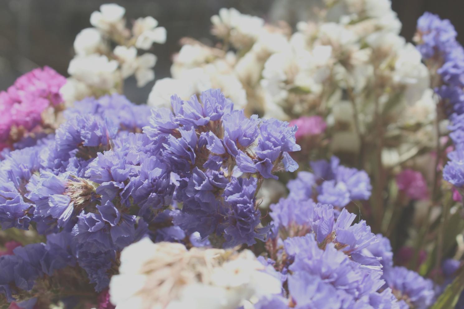 Fresh corporate flower arrangements