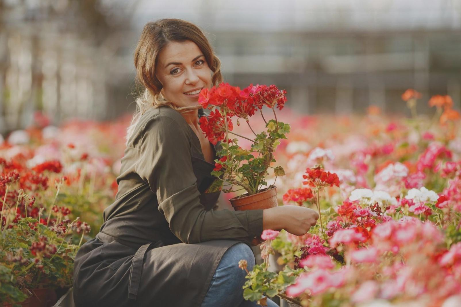 Consultation session with corporate client reviewing flower options